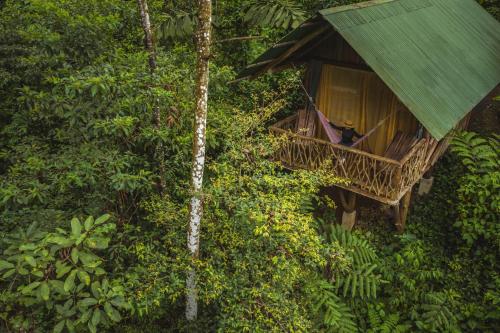 La Tigra Rainforest Lodge, Фортуна (фото 2)
