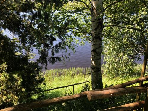 Apple tree cabin with sauna and river views