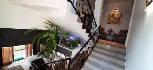 Balu in 科布列季