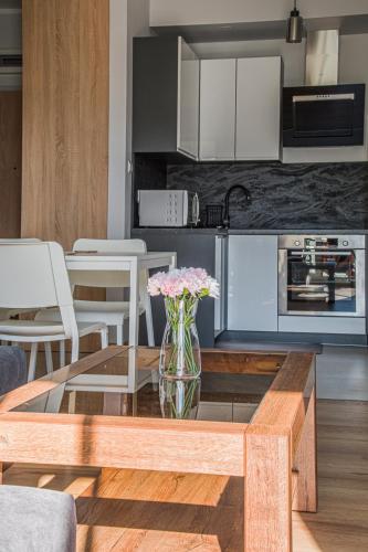 Apartament nad Iławka