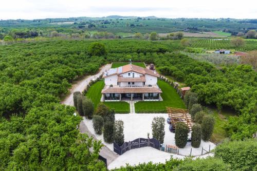  Podere Vasella - Panoramic attic in Capranica