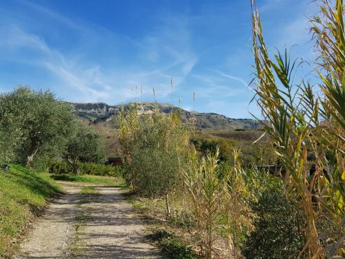 Il Bevaio Di Corleone - image 5