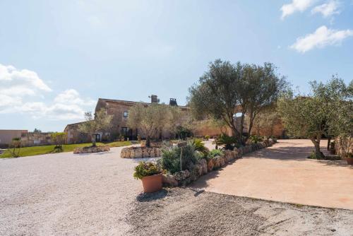 Agroturismo Sa Canoveta - image 6