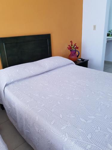 Hotel Rosalia in Valladolid, Mexico