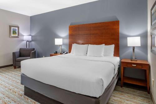 Comfort Inn & Suites in Cleveland, USA