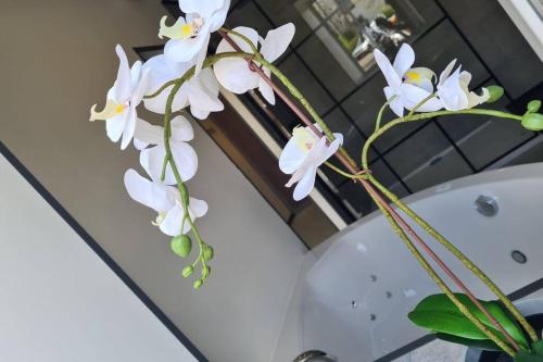 Gite - Vakantiewoning Philled With Love