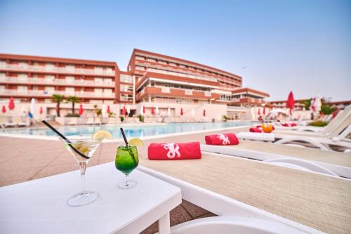 Hotel Albatros Plava Laguna - image 13