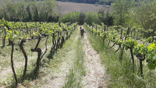 Bio Agriturismo Valle dei Calanchi