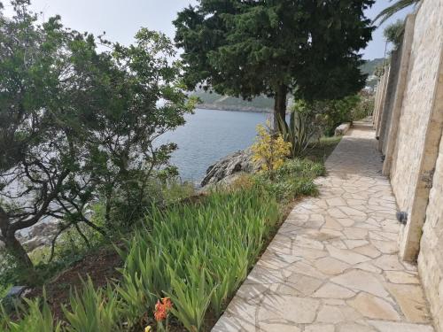 Apartman Marinkovic in Dobra Voda