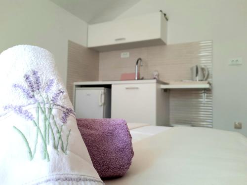 Studio Apartments Regina - image 4