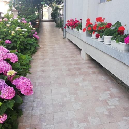Albatros 2 Family Hotel – Kiten