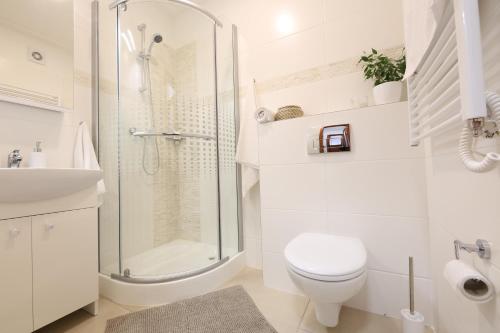 Úpatí Ještědu - apartmány, Liberec (zdjęcie 3)