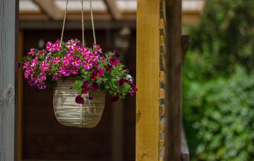 Rosenhill Bed & Breakfast - image 3