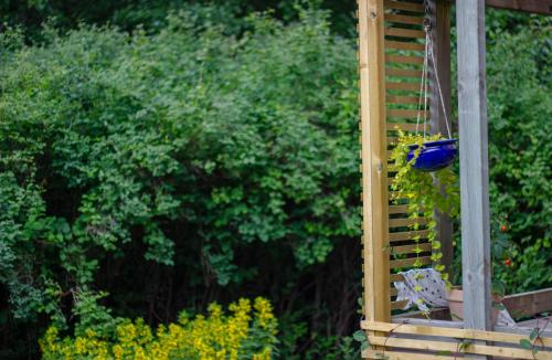 Rosenhill Bed & Breakfast - image 11