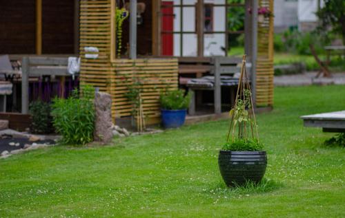 Rosenhill Bed & Breakfast - image 10