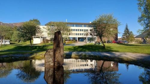 Accommodation in Ørsta