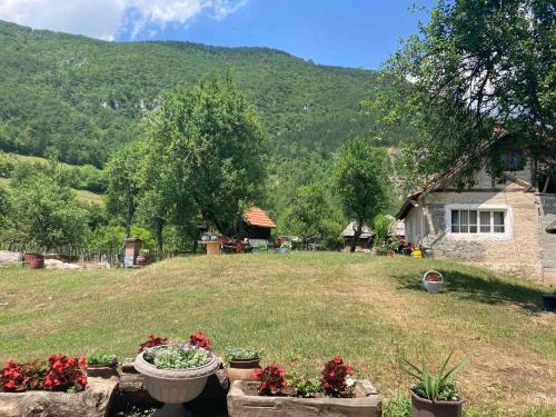 apartman Mara in Mokra Gora