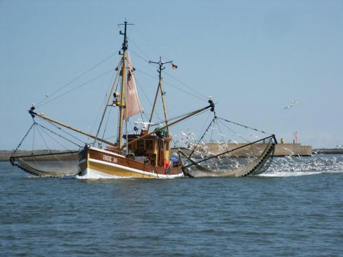 Apartmenthaus Hollanderei in Busum