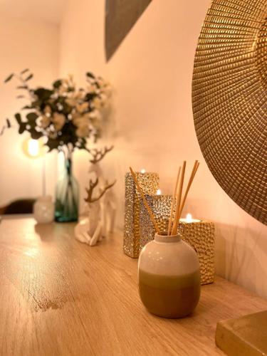 Petit cocon au cœur d'Annecy 3