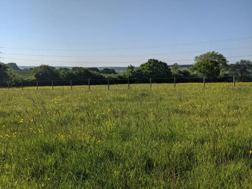 Foxhill Lodges 5