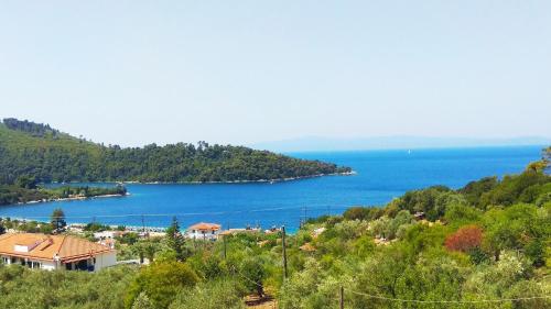 Skalopati Studios & Villa - Apartment - Panormos Skopelos