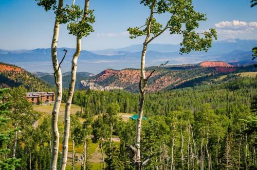 Navajo Ridge - image 6