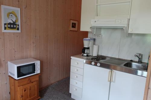 Fredheimbrygga in แอนดิเนส