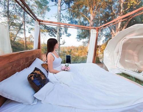 Jungle Bubble Lodge
