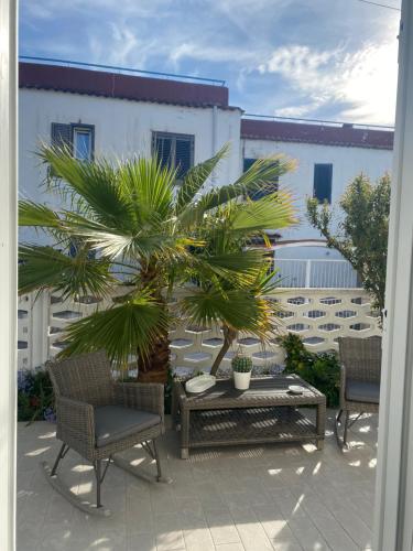 Casa Palma