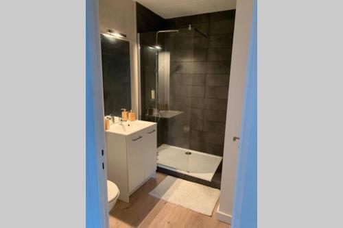 Appartement T2 refait a neuf et fonctionnel