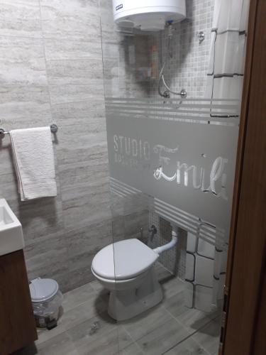 Studio apartmani Emili stan na dan Bijeljina apartman br 1