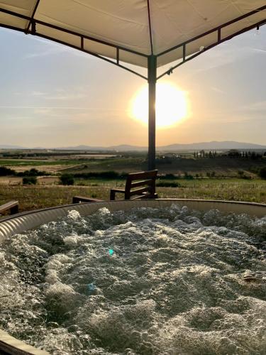 Il Poggio di Musignano