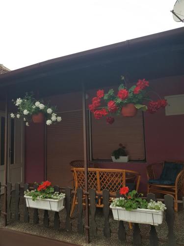 Apartmani, sobe Žiža obrázok