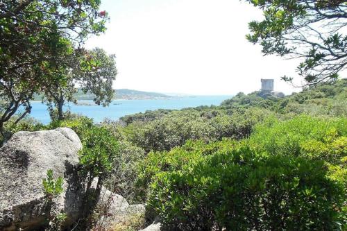 Magnifique villa d'été à 80m de la mer gîte à louer Figari