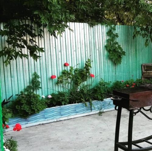 Olga Guest House