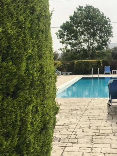  Derekas studios & apartments in Laganas