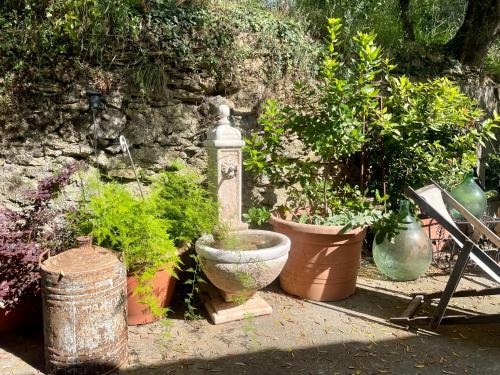 Ca' dei Merli - charming Italian village house