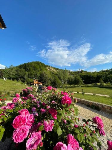 Ranch Diamond Sarajevo Ranch Diamond Sarajevo