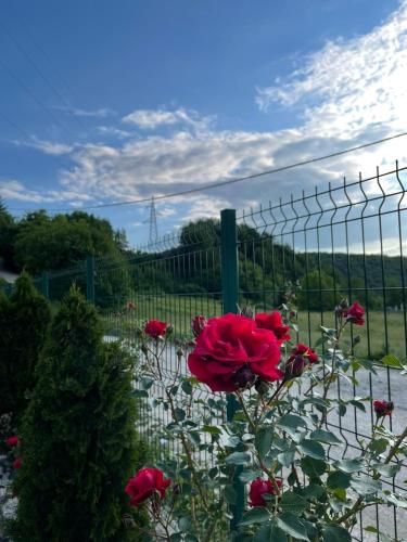 Ranch Diamond Sarajevo Ranch Diamond Sarajevo