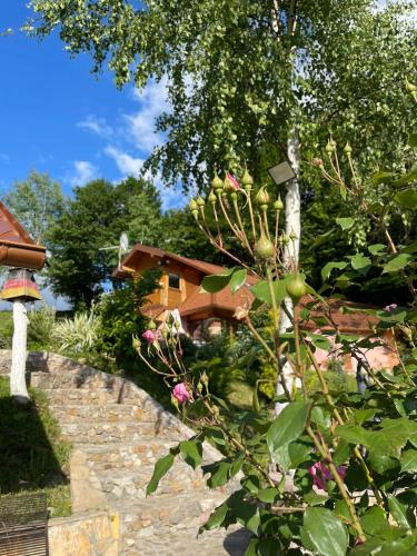 Ranch Diamond Sarajevo Ranch Diamond Sarajevo