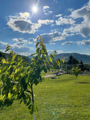 Ranch Diamond Sarajevo Ranch Diamond Sarajevo