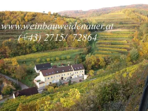 Weinbau Weidenauer in Wösendorf, Österreich