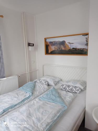 Pension U Vaclava in Janov