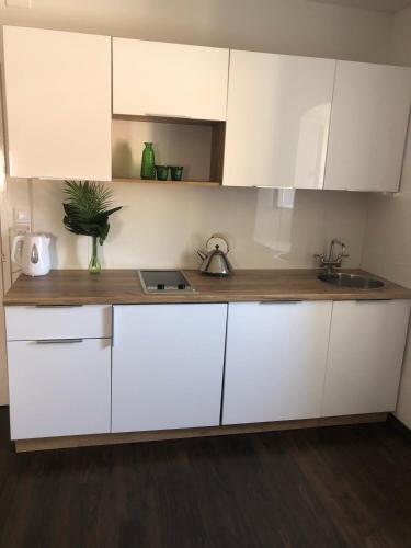 Apartment Dubravka Iza Roka - image 12