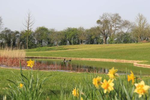 B&B Cense de la Tour in Nil Saint-Vincent