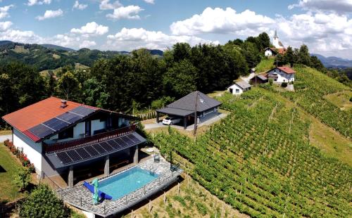 Vineyard Paradise Senica - Accommodation - Dramlje