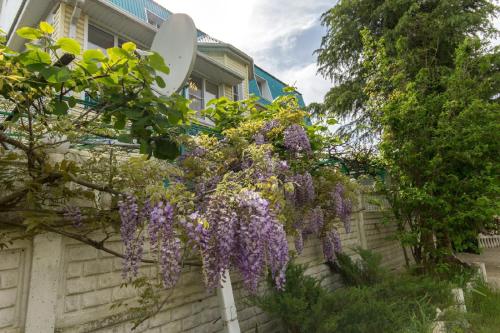 Guest House Solnechniy Kray - image 4