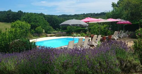 La Libellule and Le Papillon gites at Les Leroux, near Frayssinet-le-Gelat - Location saisonnière - Frayssinet-le-Gélat