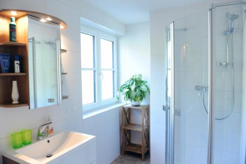 Appartements Haus Sieberer In Brixen Im Thale Austria 70