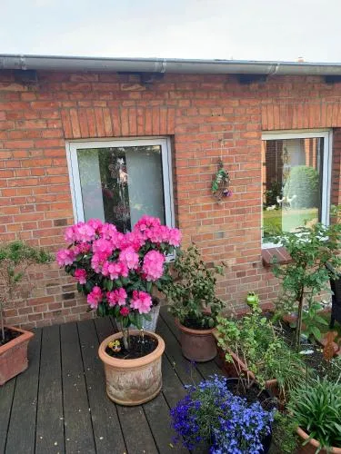 Ferienwohnung in Stadtmitte in Teterow, Deutschland